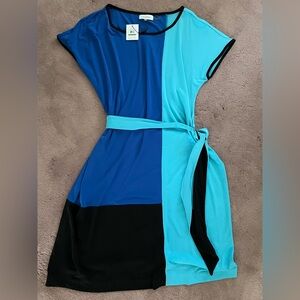Calvin Klein Color Block Dress with Belt